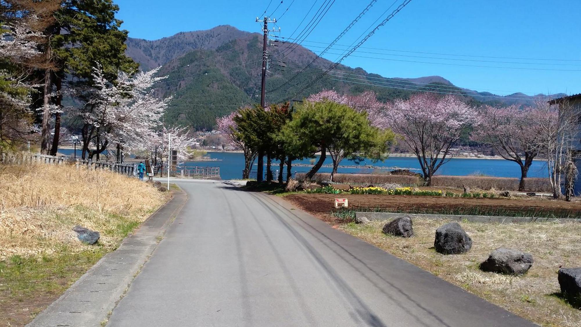 Hotel Nishimiyasou Fujikawaguchiko Zewnętrze zdjęcie