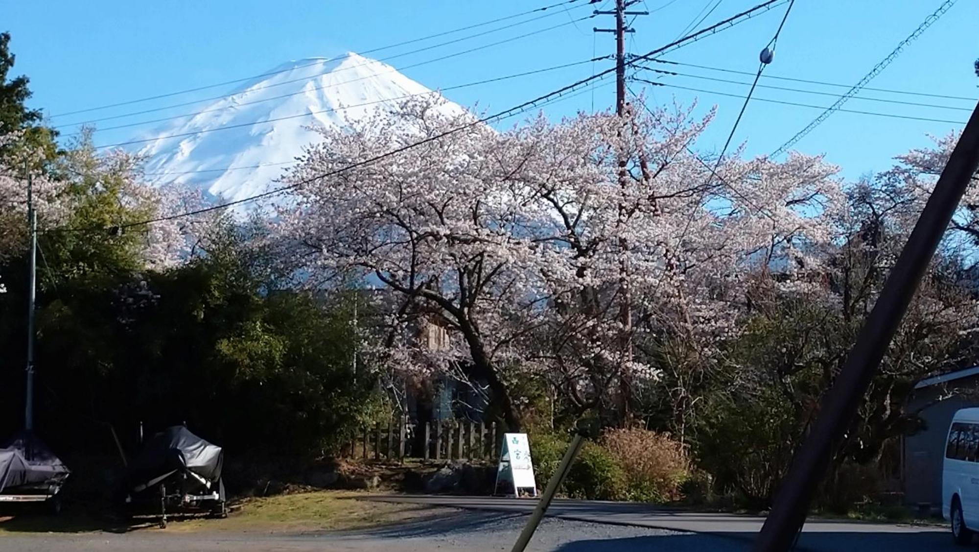 Hotel Nishimiyasou Fujikawaguchiko Zewnętrze zdjęcie