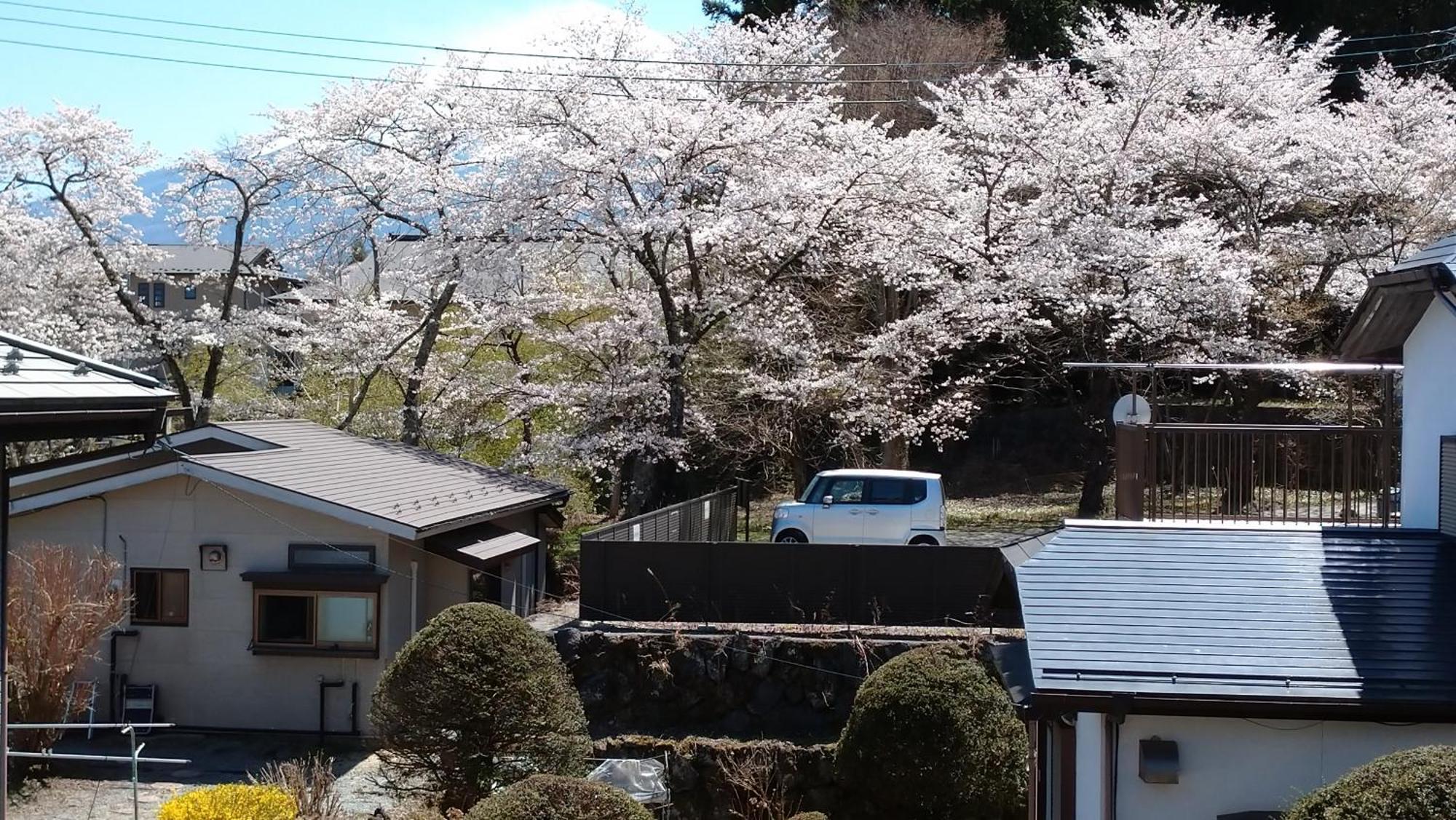 Hotel Nishimiyasou Fujikawaguchiko Zewnętrze zdjęcie