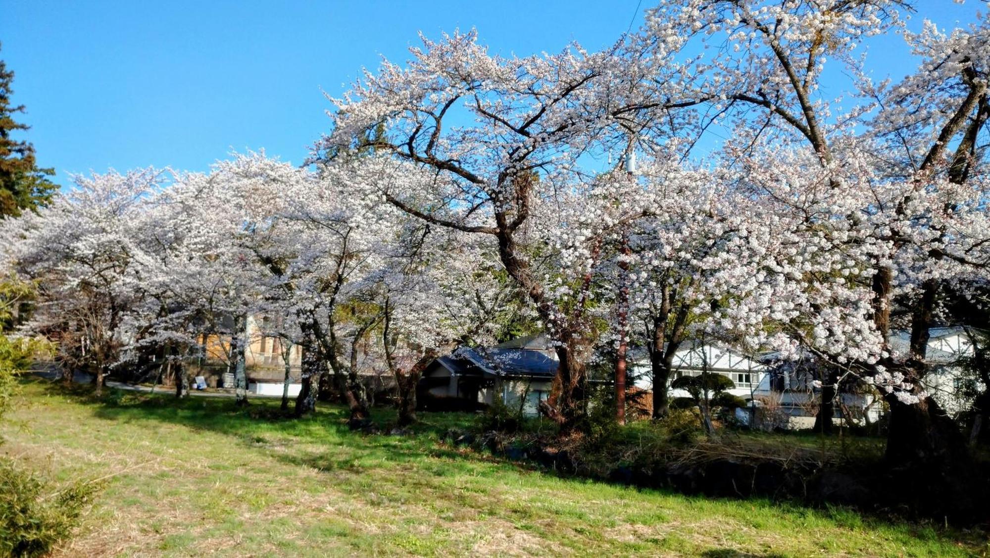 Hotel Nishimiyasou Fujikawaguchiko Zewnętrze zdjęcie