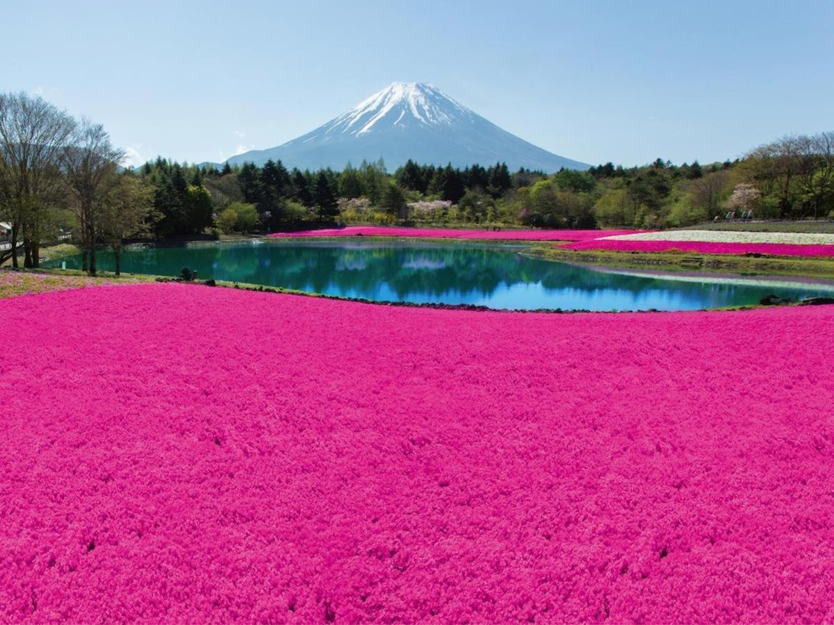 Hotel Nishimiyasou Fujikawaguchiko Zewnętrze zdjęcie